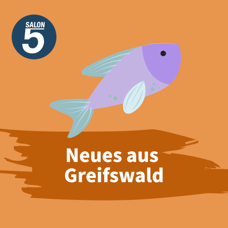 Landtagswahl MV: Wie realistisch sind die Pläne für den ÖPNV?